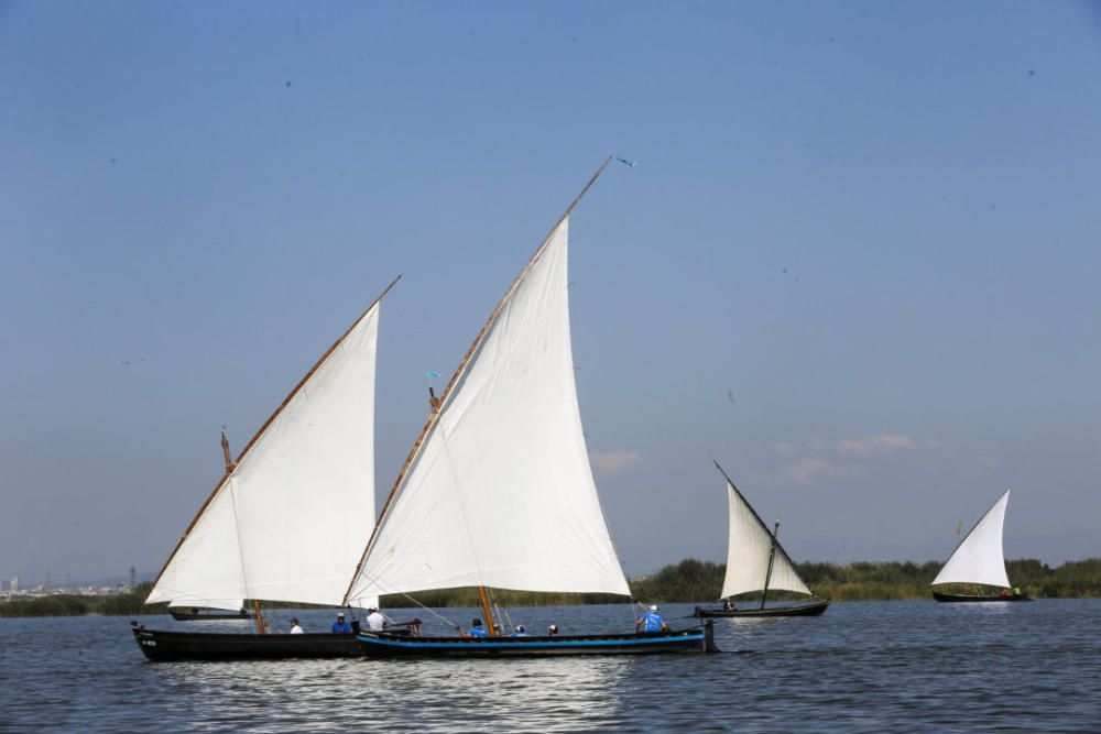 Regata-exhibición de vela latina en l'Albufera