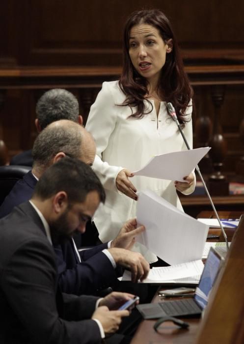 29/11/2016.Pleno del Parlamento de Canarias..Presupuestos