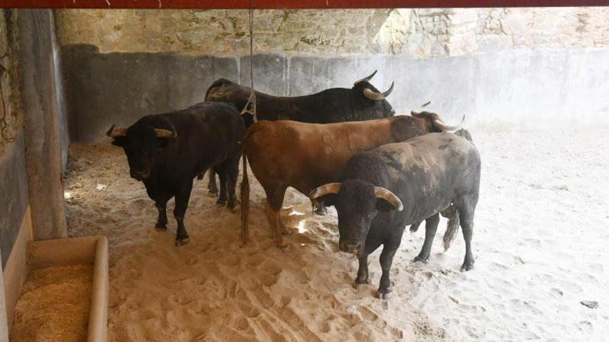 Los corrales de la plaza reciben a los toros de Garcigrande con los que se que abre este sábado la feria