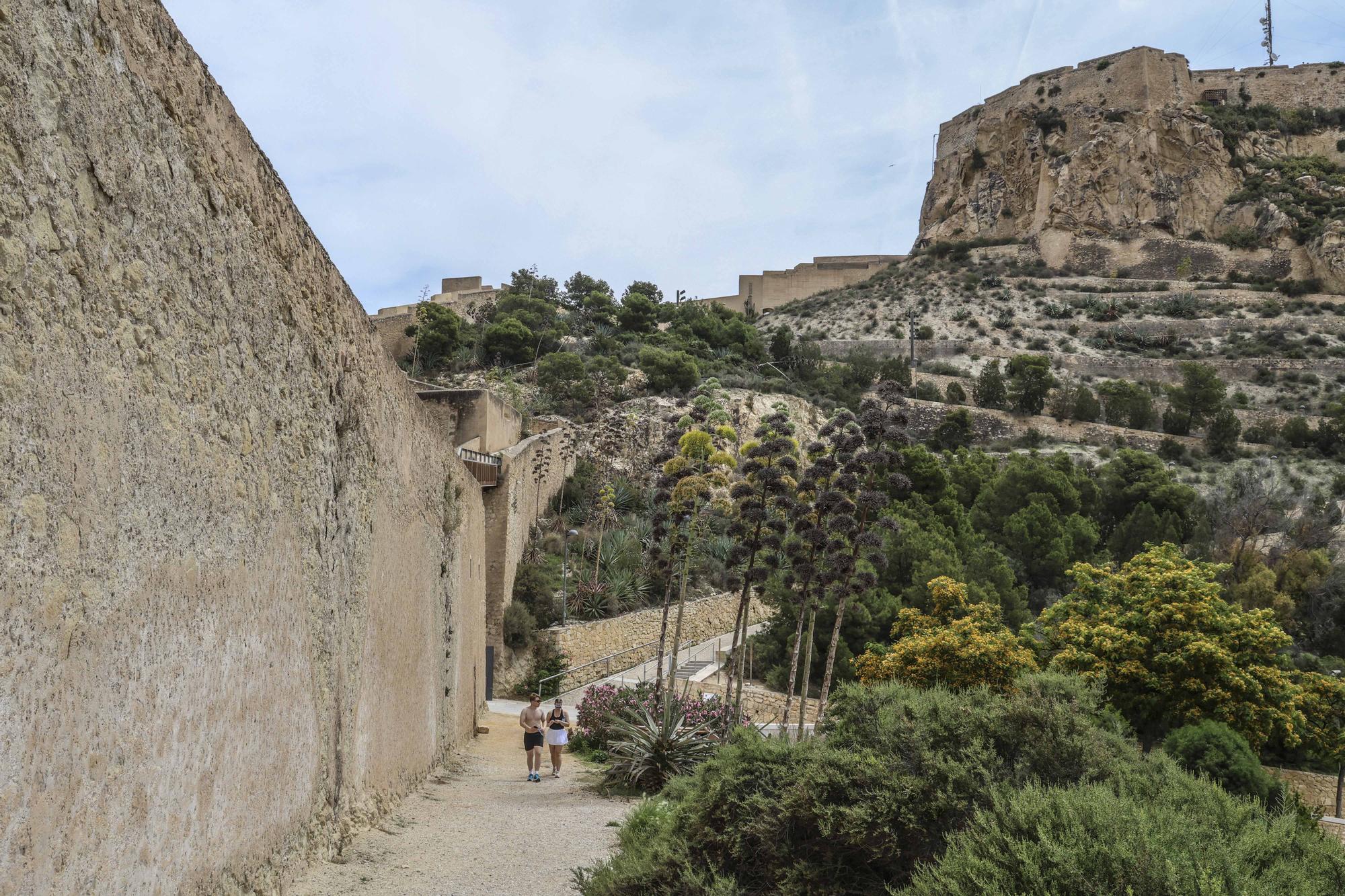 Mal estado de la muralla del Castillo de Santa Bárbara de Alicante