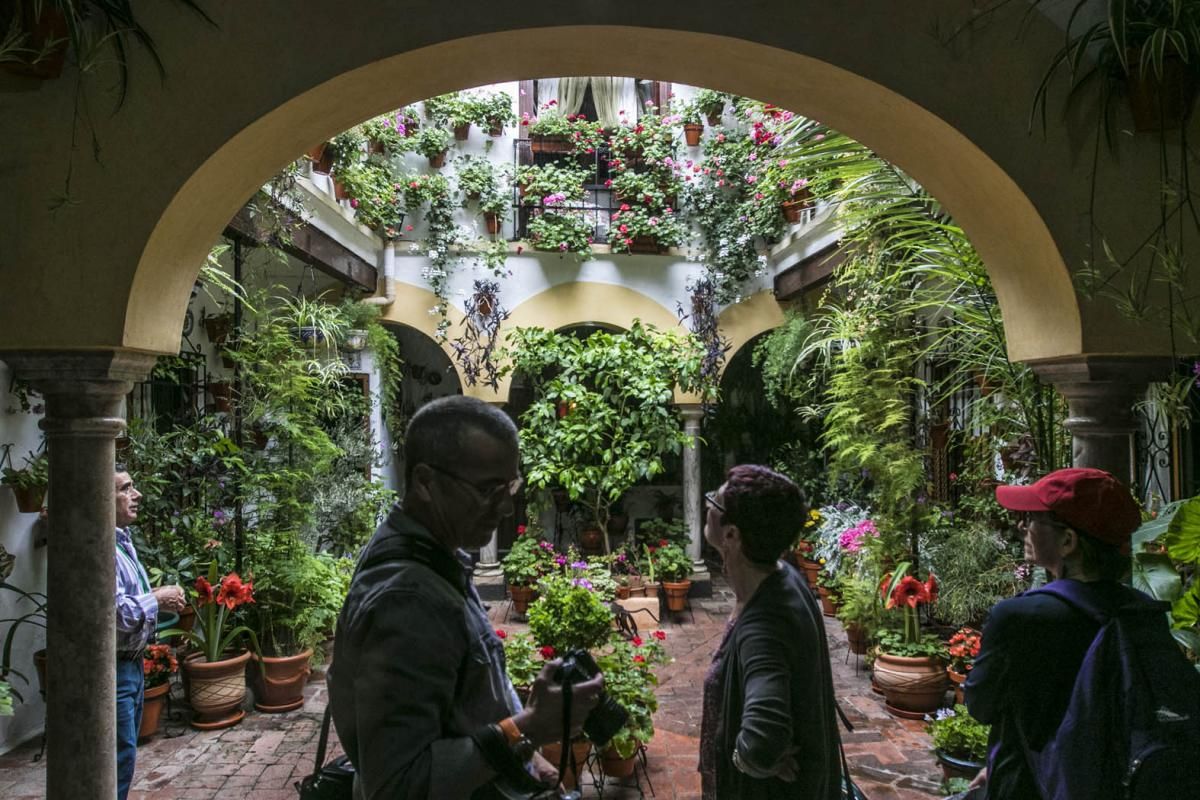 Fotogalería / Descubriendo los patios de la ruta del Realejo y San Andrés