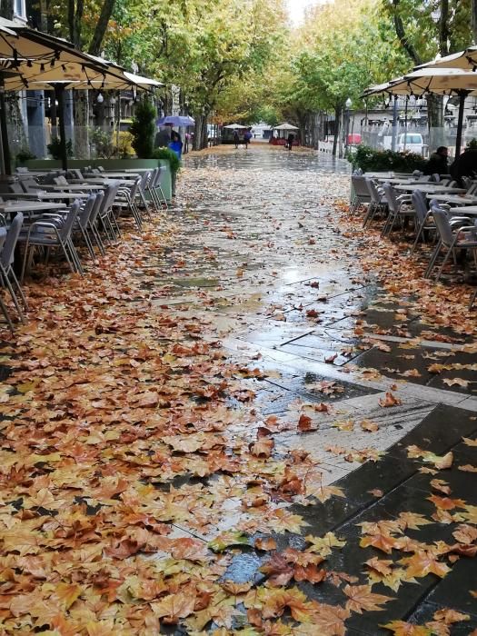 Milers de fulles cobreixen els carrers de Manresa