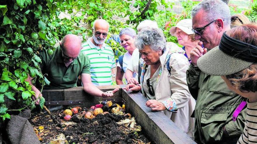 Un verano activo para la tercera edad