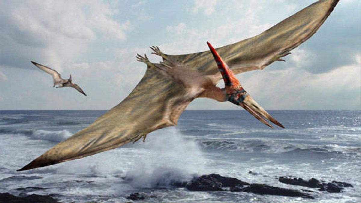 Hallan el primer 'dragón volador' en el desierto de Atacama (Chile)