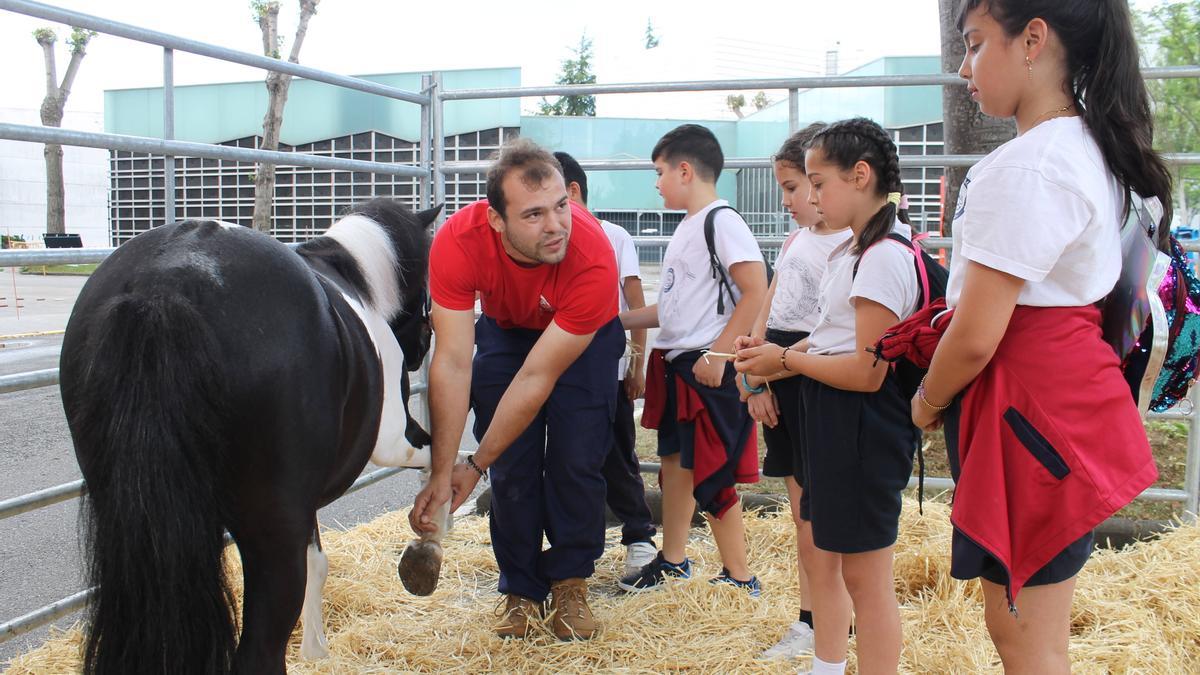 En imágenes: La feria de San Antonio de Gijón caliento motores para este fin de semana