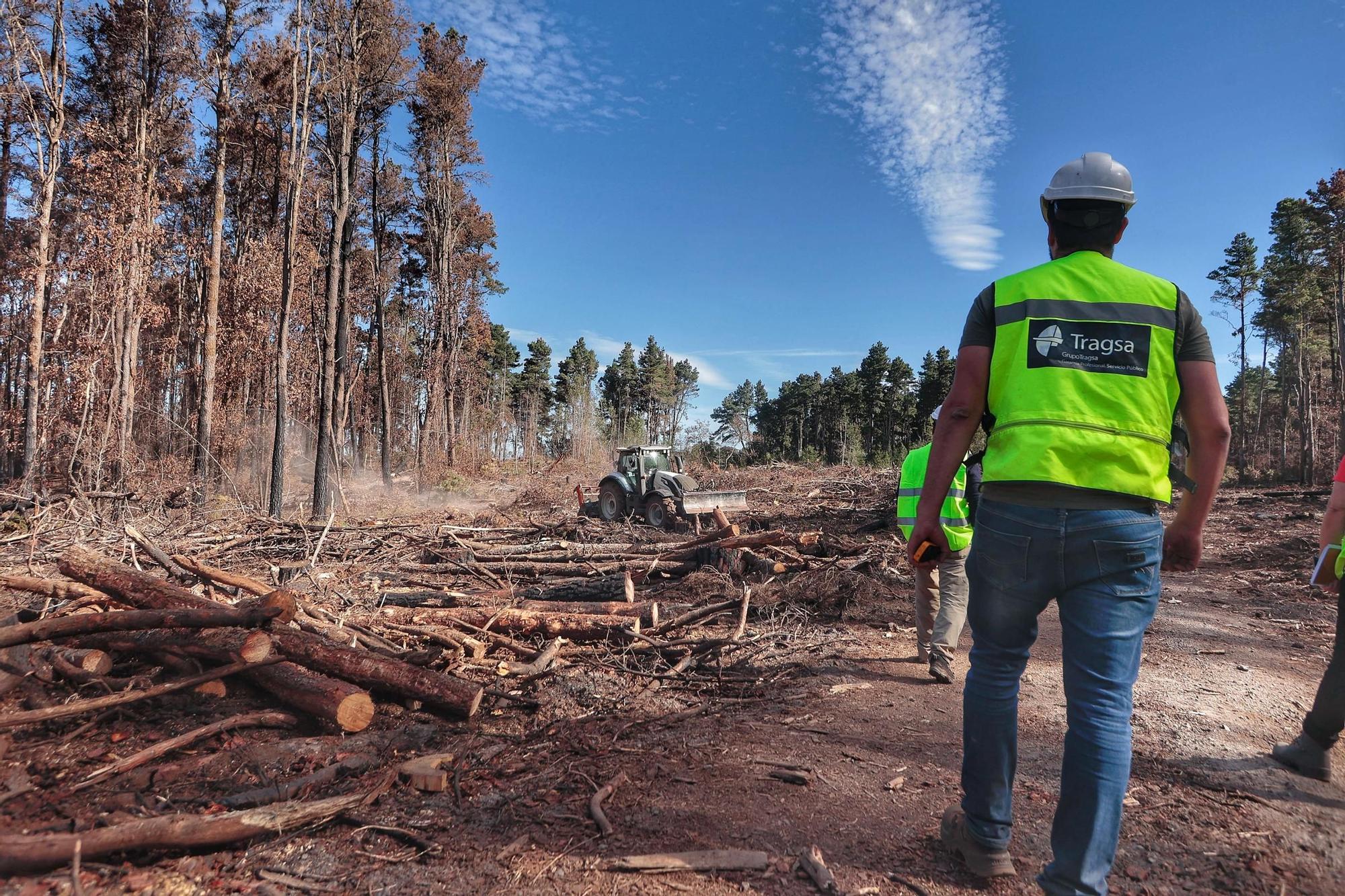 Visita a zonas afectadas por el incendio de agosto en Tenerife