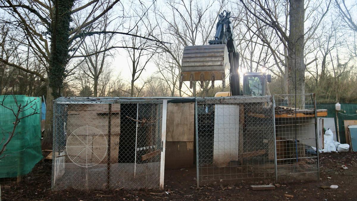 Dispositivo para eliminar un conjunto de barracas junto al Besòs en Montcada i Reixac