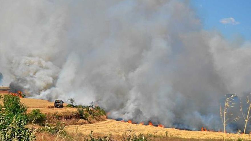 Columnes de fum després de cremar un camp de cultiu de cereal a Sant Fruitós el mes de juny passat