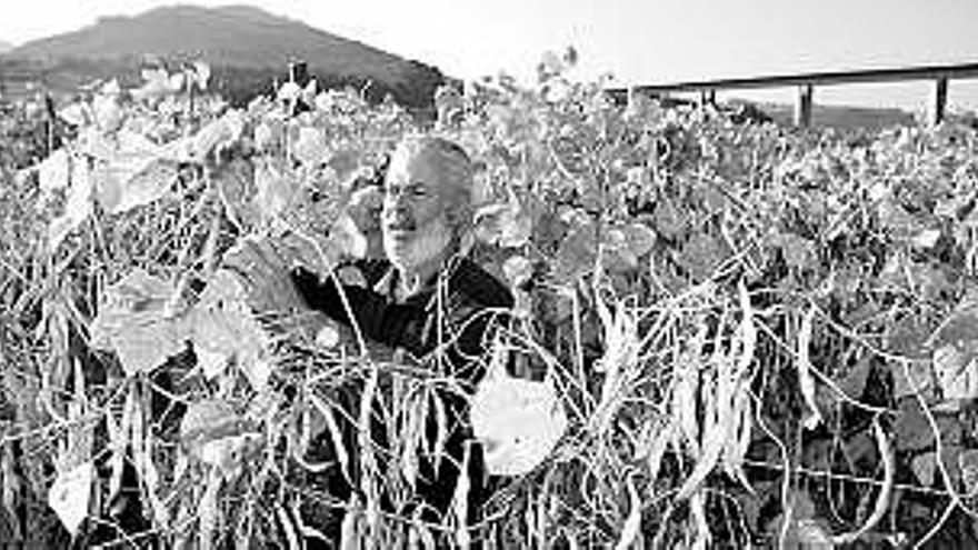 José Ramón Suárez, en su plantación de fabas en Los Cabos (Pravia).