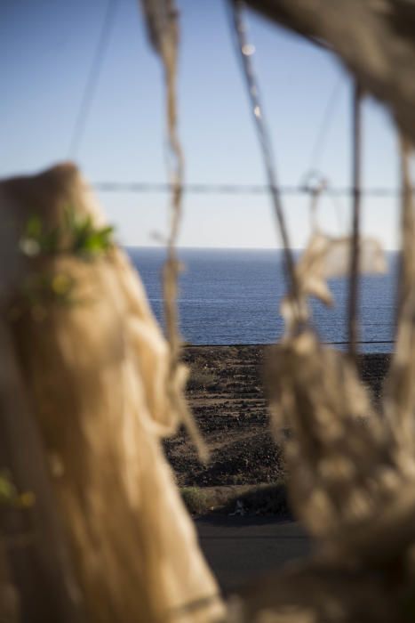 Fotos de invernaderos abandonados en el Sur de ...