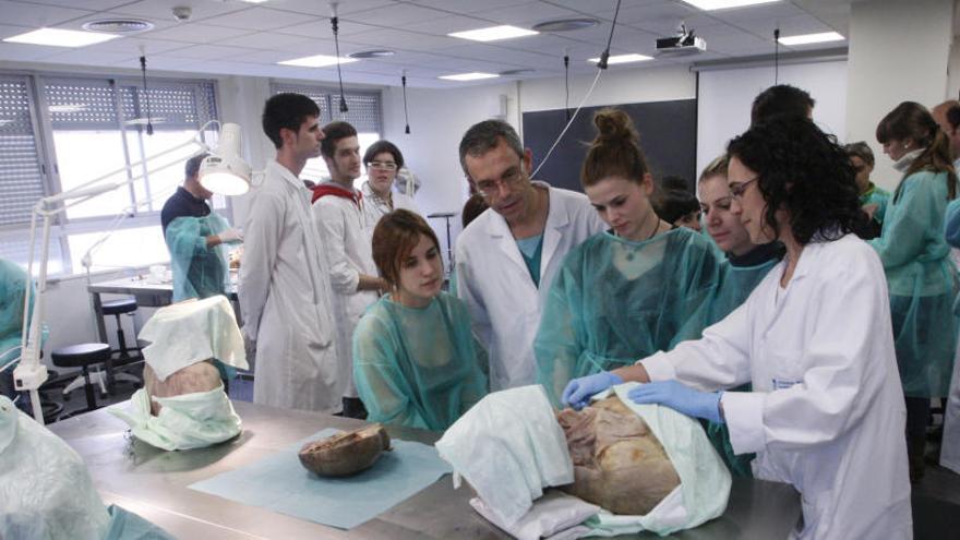 Estudiants a la Facultat de Medicina de la UdG, el grau amb la nota de tall més alta a Girona