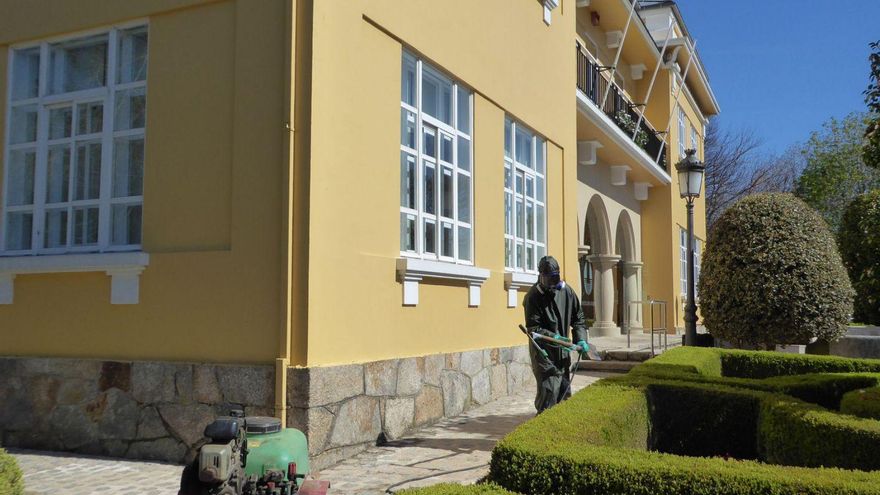 Un trabajador podando un seto en el exterior de la casa consistorial de Oleiros. | LOC