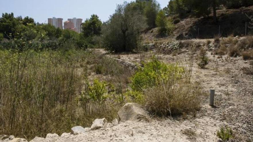 Buscan solares para los huertos ecológicos tras el rechazo de la CHJ a la ubicación inicial