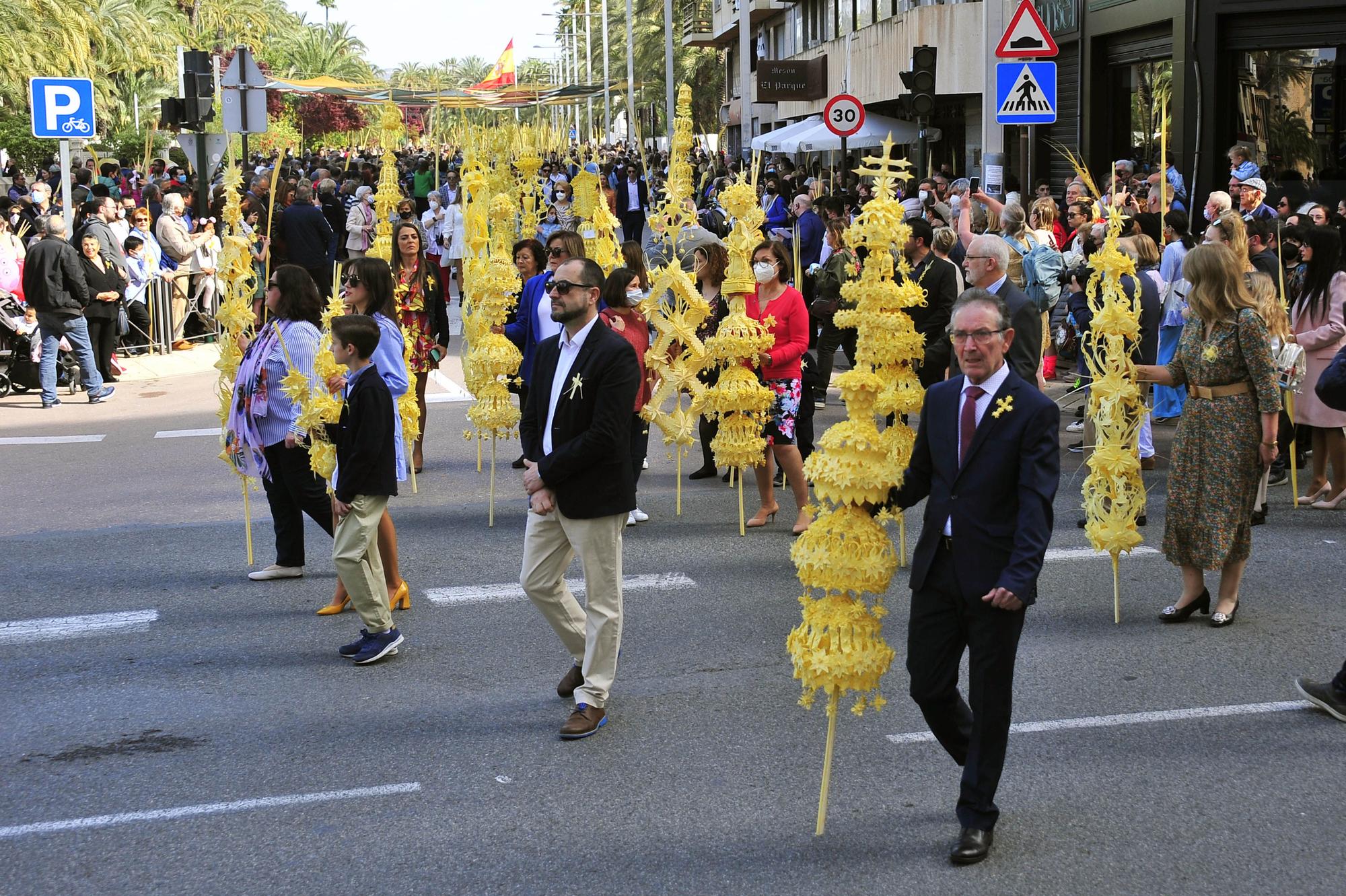 Domingo de Ramos en Elche