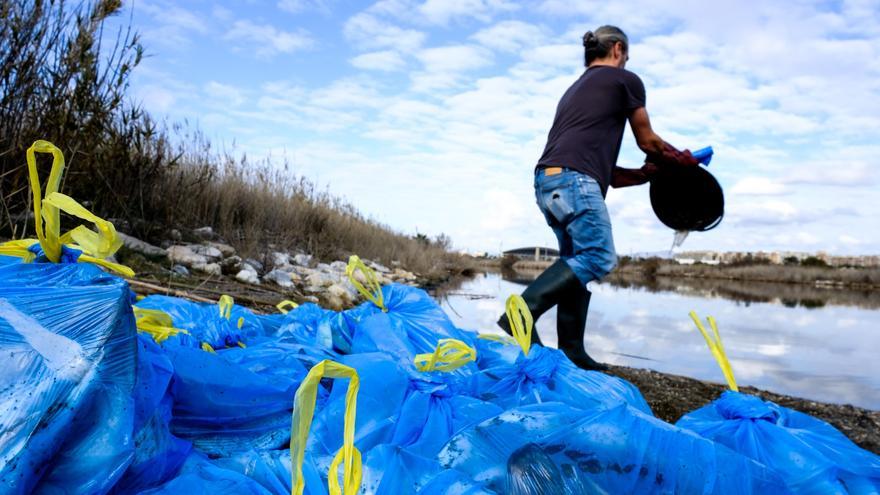 La Junta realiza trabajos en la desembocadura del Guadalhorce tras la aparición de centenares de peces muertos