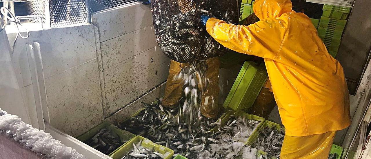 Un barco de cerco de la ría  
 de Vigo trabajando este mes.   
  | // J.M.S