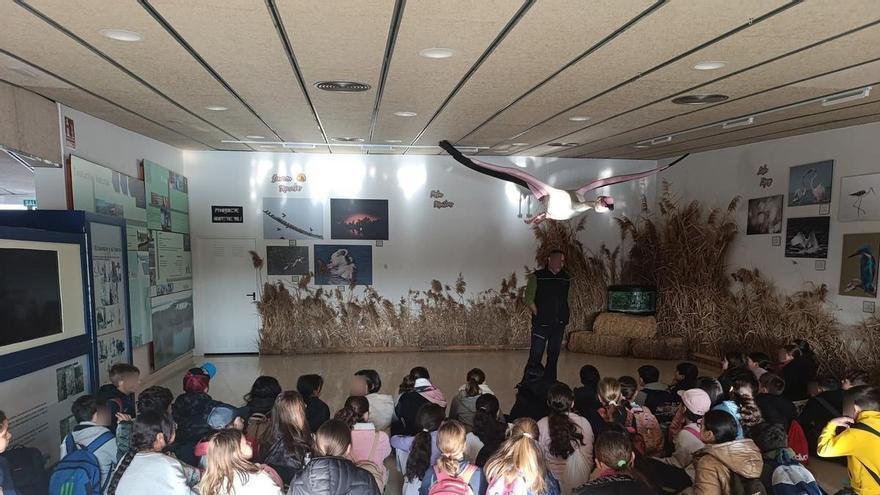 El centro de interpretación de El Hondo acumula cuatro meses cerrado por una avería