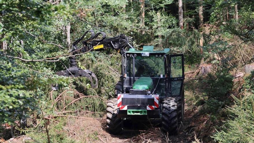 Les empreses de treballs forestals insten a planificar més el manteniment del bosc