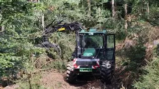 Les empreses de treballs forestals insten a planificar més el manteniment del bosc