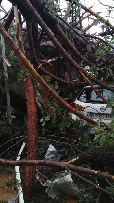 Un tornado destrossa un càmping a Gualba