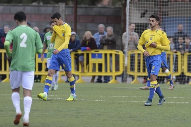 UD TEROR - UDLP