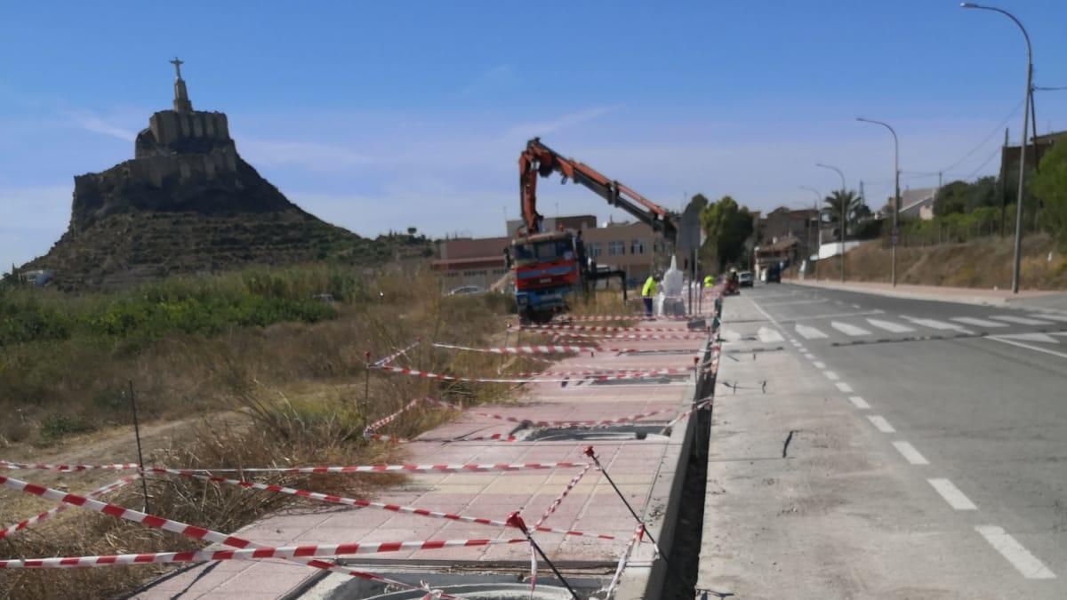 Murcia evitará que se levanten las aceras con un sistema que hace de guía de raíces