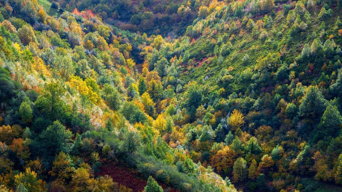 Otoño en Los Ancares: el valle de los colores imposibles