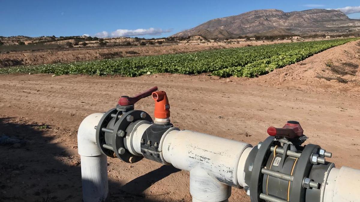 Conducciones de riego en una finca agrícola de Monforte del Cid.