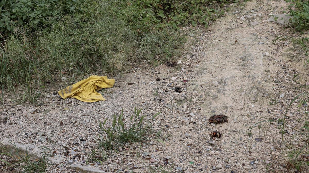 Excrementos animales en la zona.