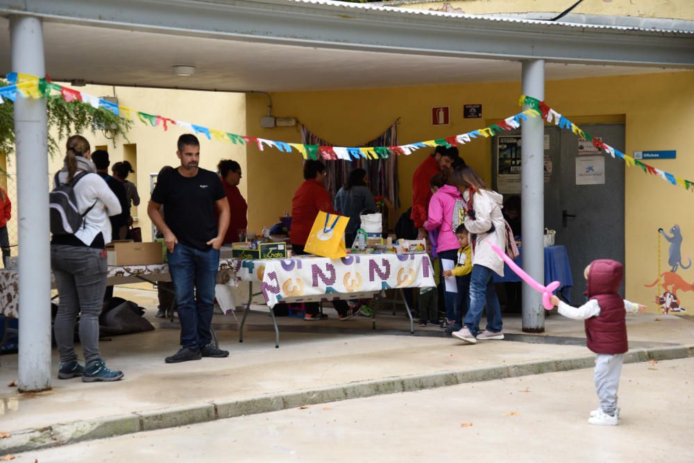 Puertas abiertas de la protectora de Alcoy