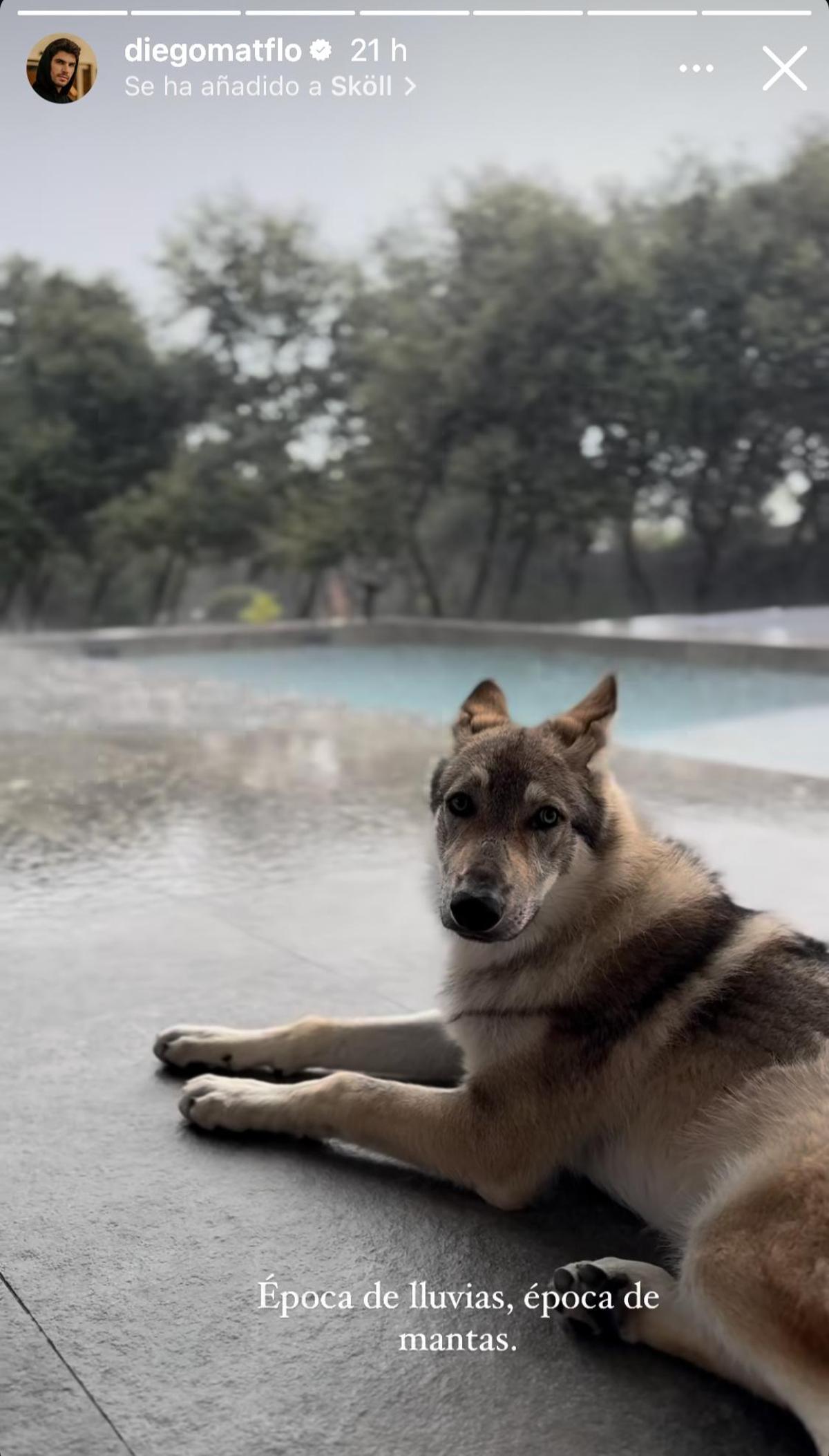 Stories de Diego Matamoros