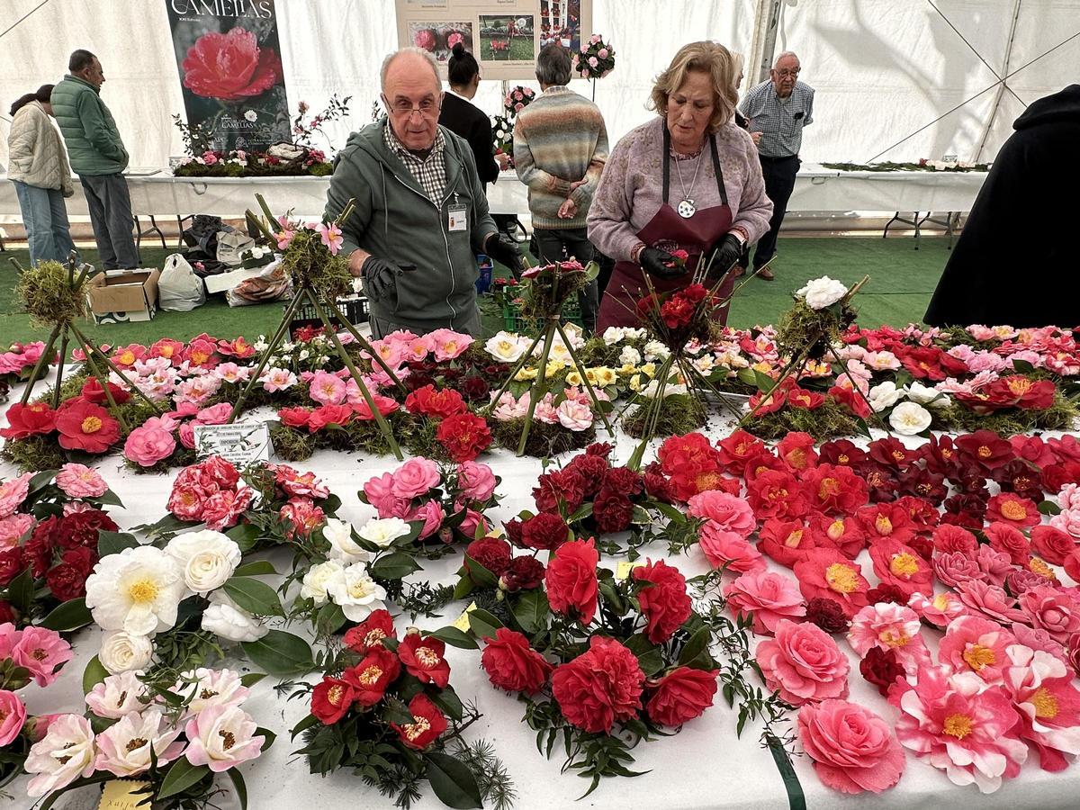 Dos coleccionistas durante los preparativos.