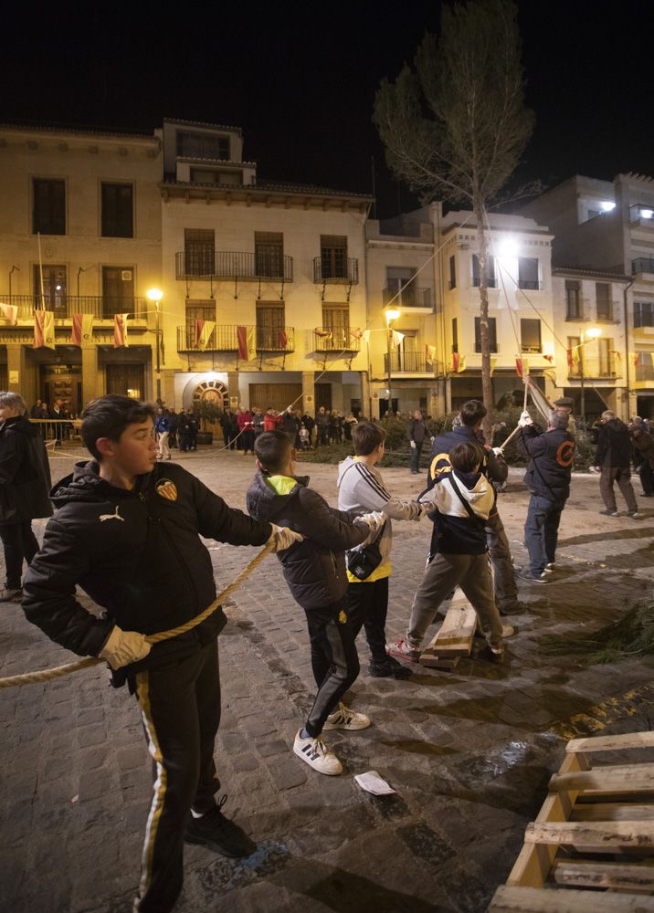 Sant Antoni arranca en Sagunt con la tradicional Plantà del Pi