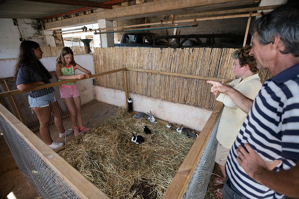 Fiesta para salvar las razas autóctonas