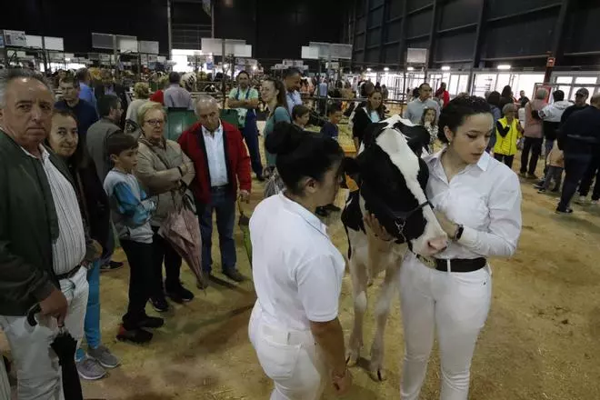 Agropec, que superó los 76.000 asistentes, devuelve la sonrisa al sector