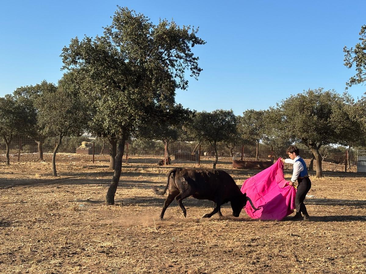GALERÍA | Alumnos de la Escuela Taurina de Navas del Rey participan en una retienta en la ganadería Toros Villalpando