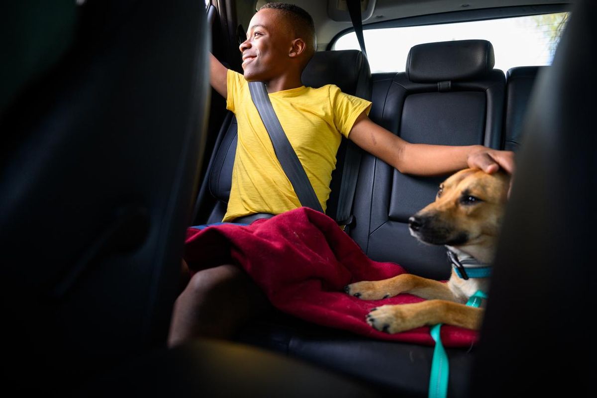 Viajar con mascotas en Extremadura.