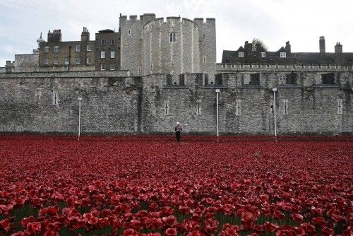 La Torre de Londres se cubre con una marea roja de flores de cerámica que recuerdan a los caídos en la Gran Guerra