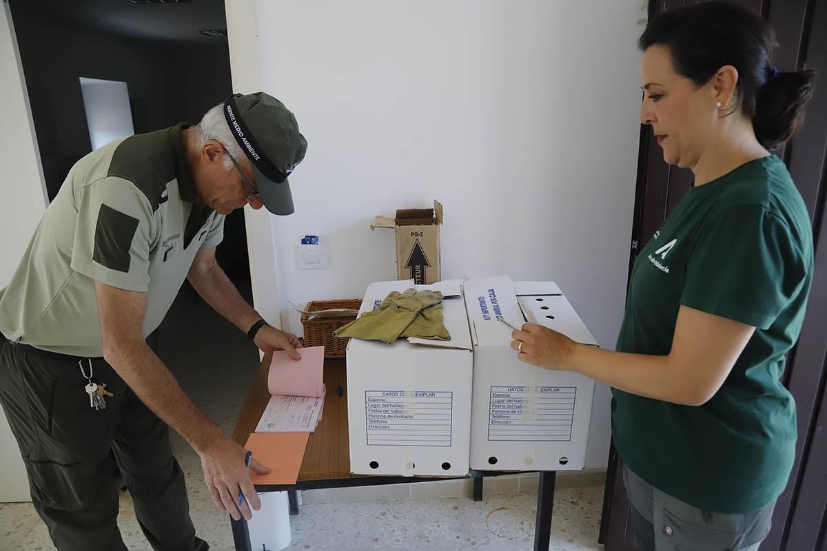 El Centro de recuperación de especies amenazadas de Córdoba, en imágenes