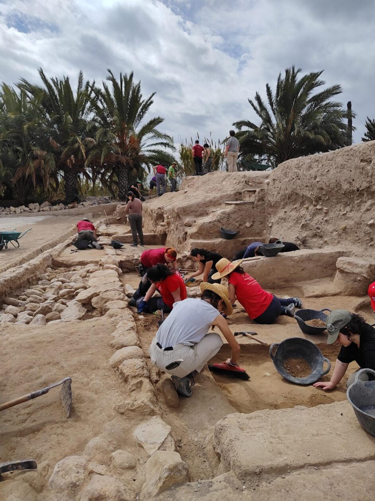 Excavación en La Alcudia