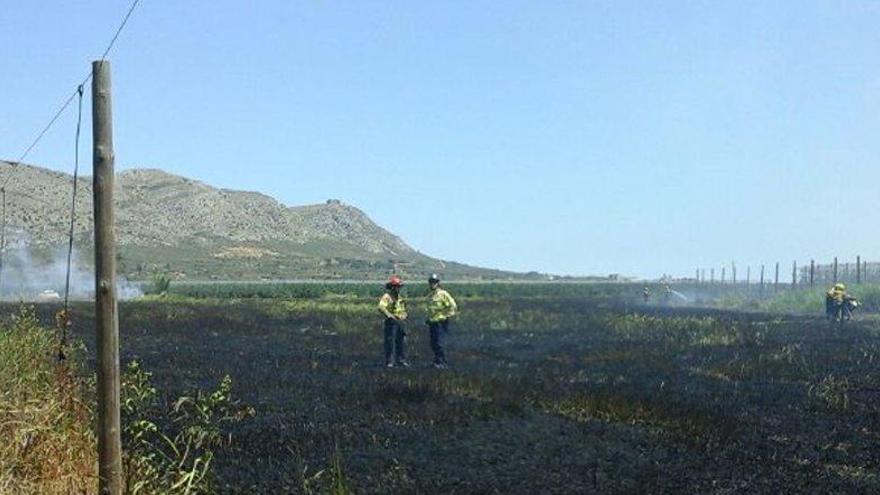 Els Bombers, a la zona cremada