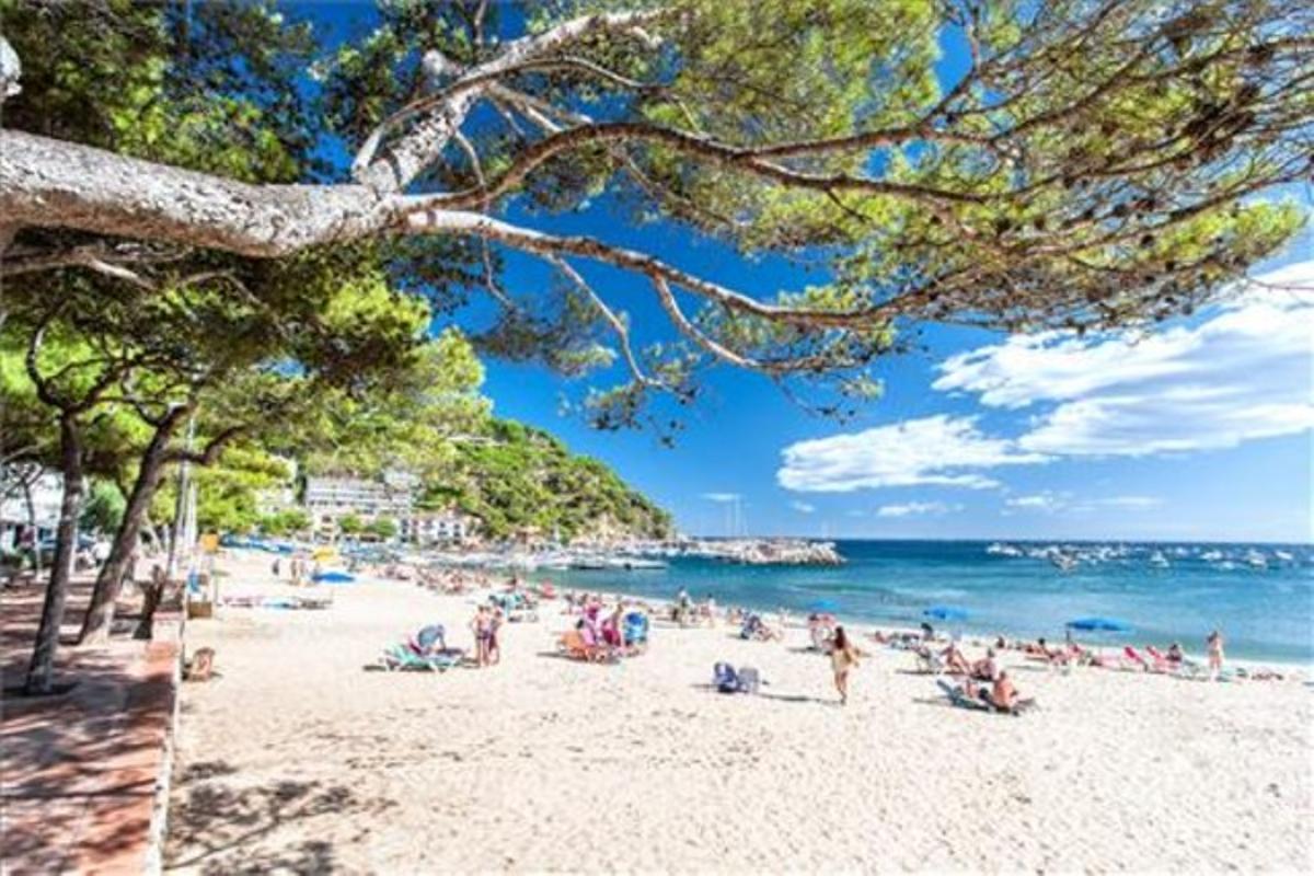 On: des de Palafrugell agafa la GIV-6546 cap a Llafranc i al final gira cap a l’esquerra seguint les indicacions. Serveis: tots. Ocupació: alta.