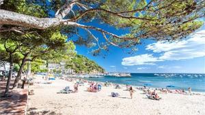 On: des de Palafrugell agafa la GIV-6546 cap a Llafranc i al final gira cap a l’esquerra seguint les indicacions. Serveis: tots. Ocupació: alta.