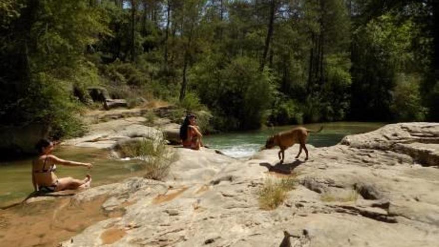 Banyistes a la riera de l&#039;Aigua d&#039;Ora, aquest estiu