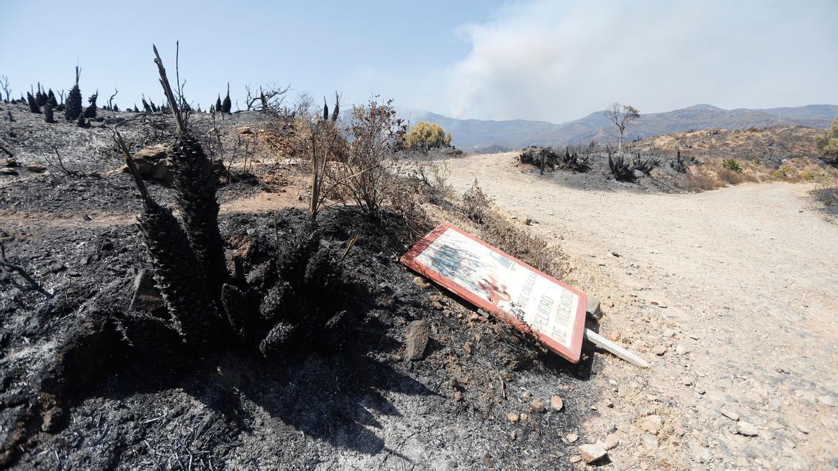 Tercera jornada de trabajos de extinción del incendio en Sierra Bermeja.