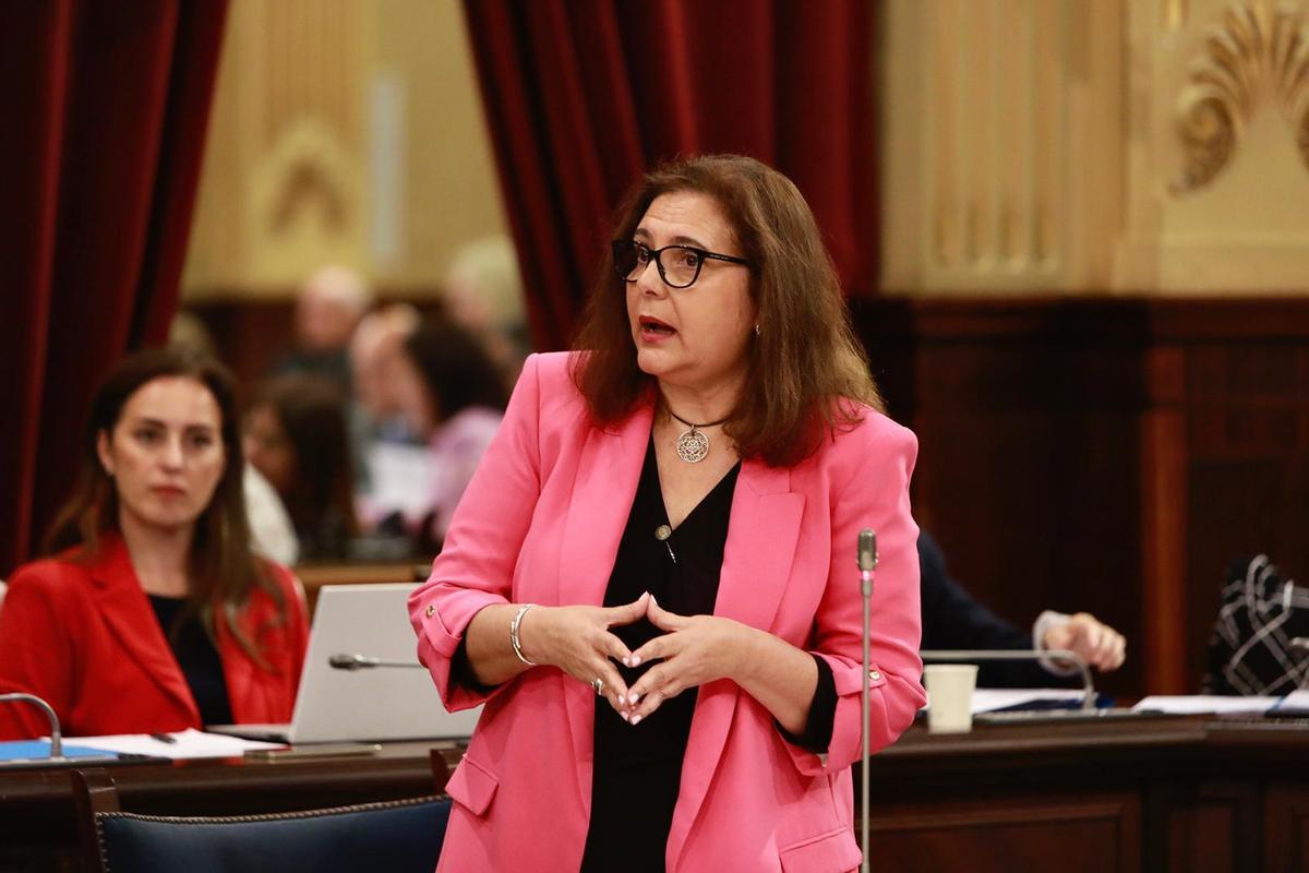 La consellera de Salud, Manuela García, durante su intervención parlamentaria.