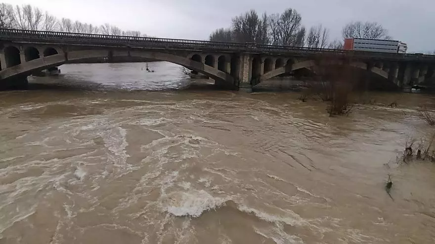 VIDEO | Crecida del Esla en el puente de Castrogonzalo y el viaducto de la A-6 en Benavente