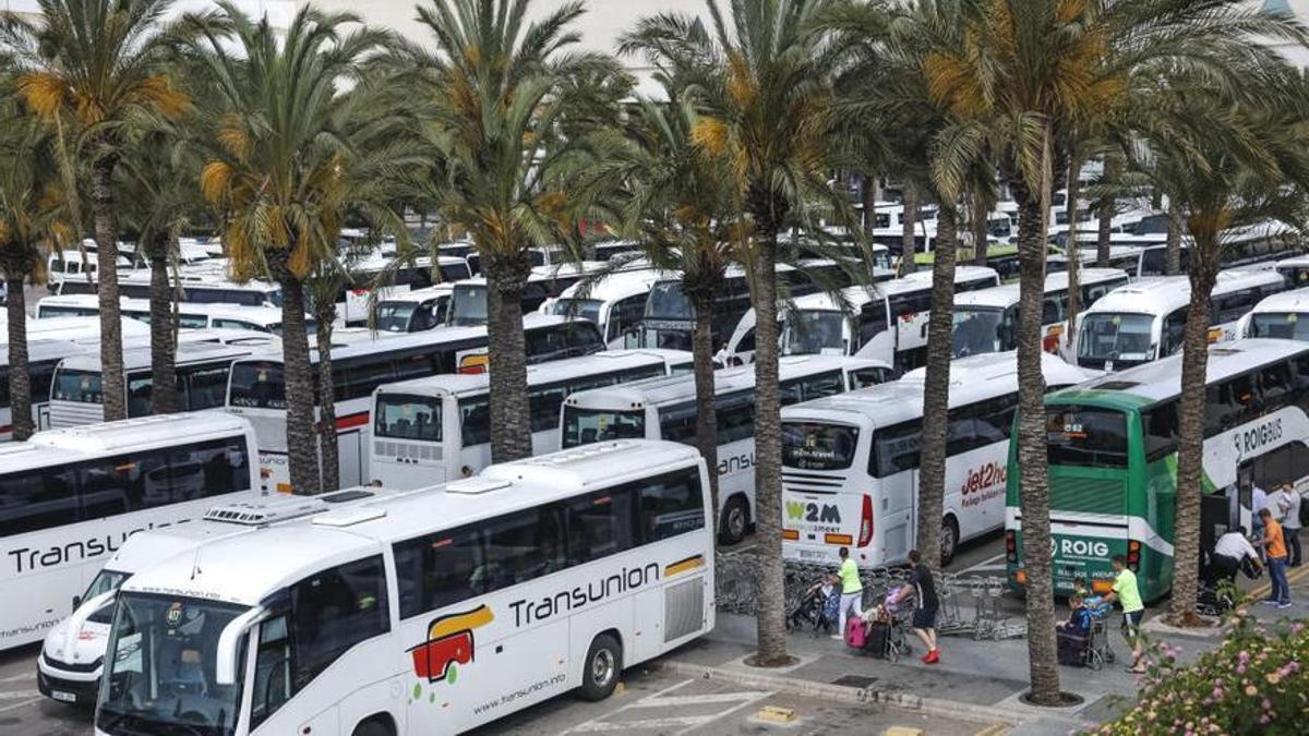 Shuttle Bus Palma Flughafen Nach Cala Ratjada www.mallorcazeitung.es