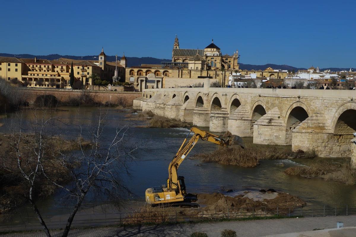 Una máquina retroexcavadora retira los sedimentos del islote en el río Guadalquivir, tras haber sido limpiado de toallitas.