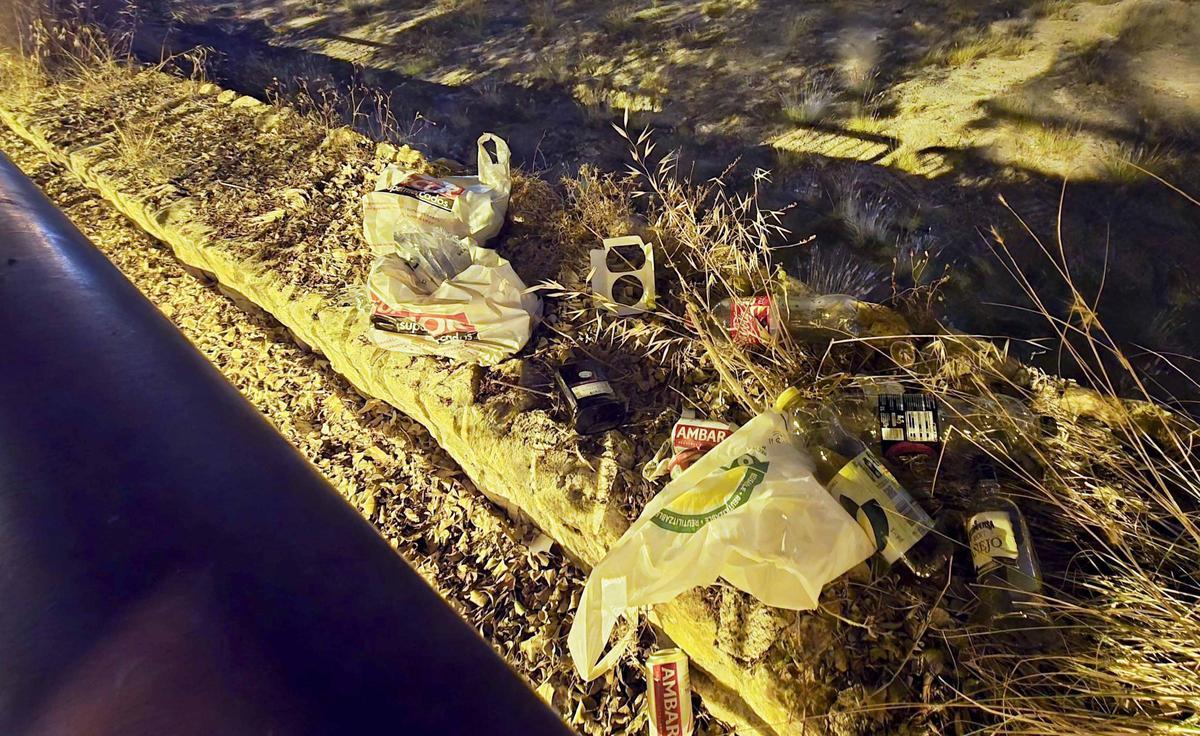 Botellón en la zona de la Albufereta en Alicante